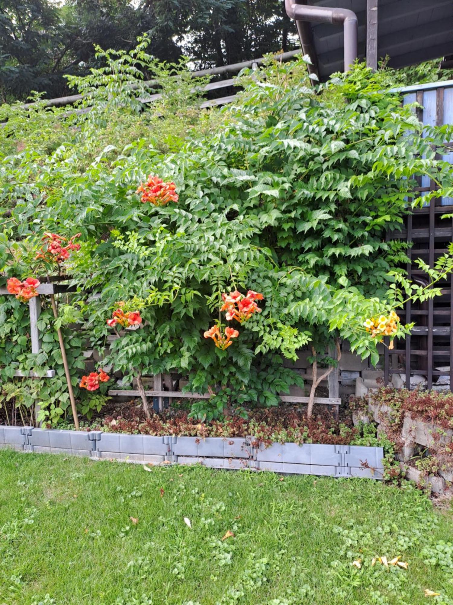 Ferienwohnung Brenner Bruck an der Mur Extérieur photo